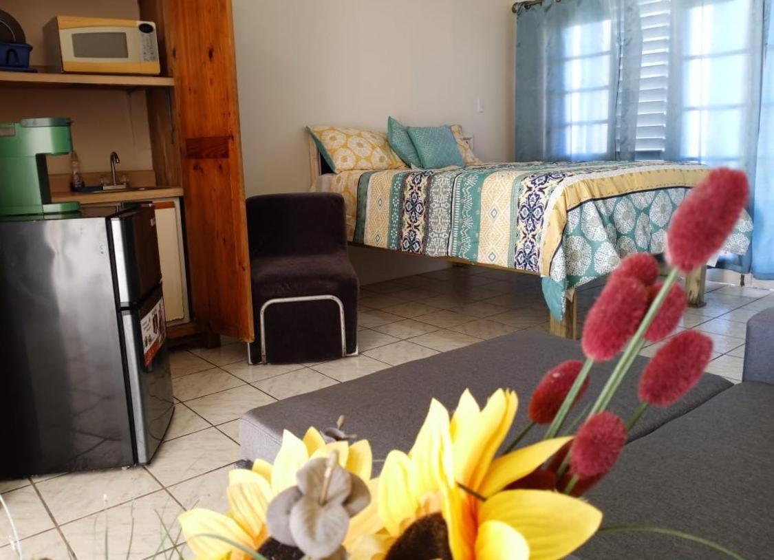 Ridgeway Guest House Montego Bay Eksteriør bilde