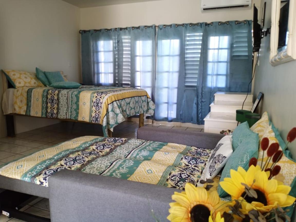 Ridgeway Guest House Montego Bay Eksteriør bilde